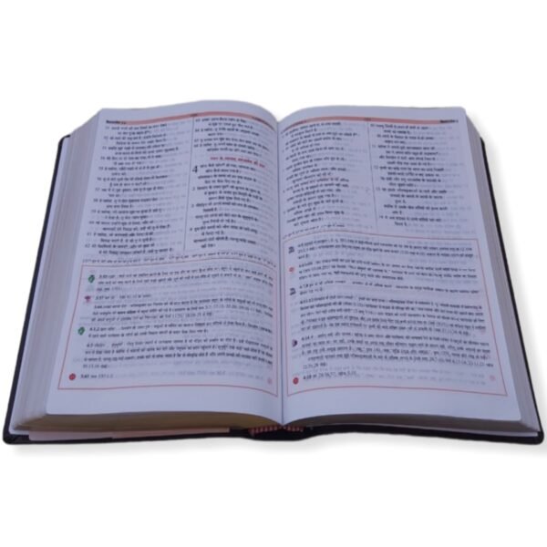 hindi bible commentary