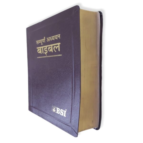 hindi bible study online