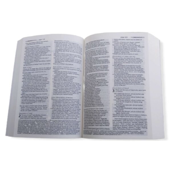 new living translation study bible,