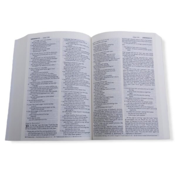 new living translation bible