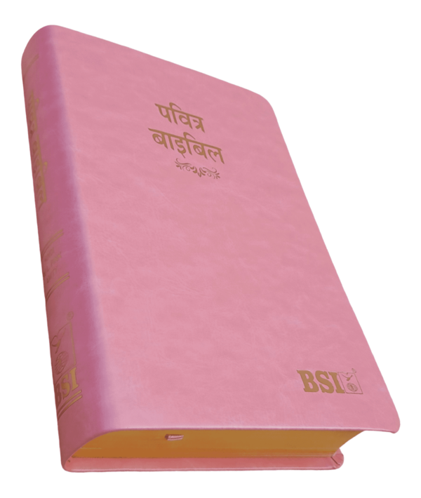 2023 Pu Amity Index Hindi Bible