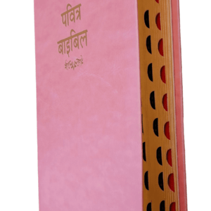 Hindi - PU Amity Hindi 2023 Bible