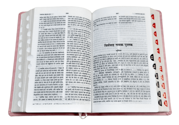 2023 PU Amity Index Bible Hindi i