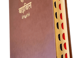 The Holy Hindi - 2023 PU Amity Index Bible