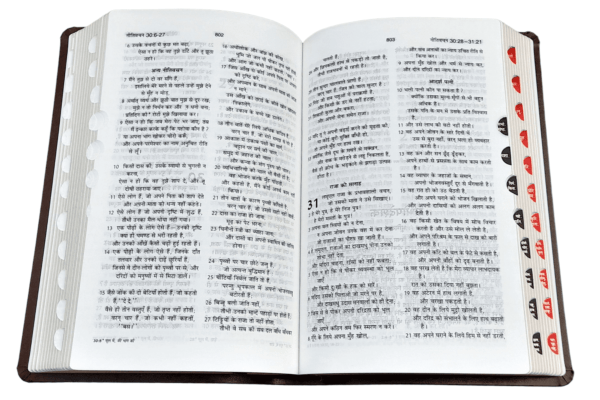 2023 PU Amity Index Hindi Bible 1