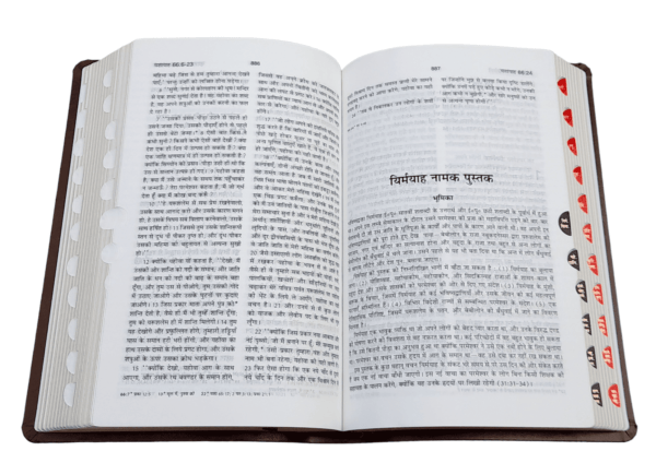 2023 PU Amity Index Hindi Bible
