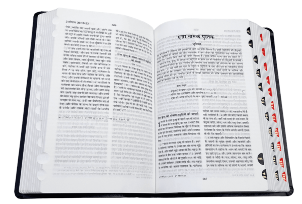 Amity Index Hindi Bible