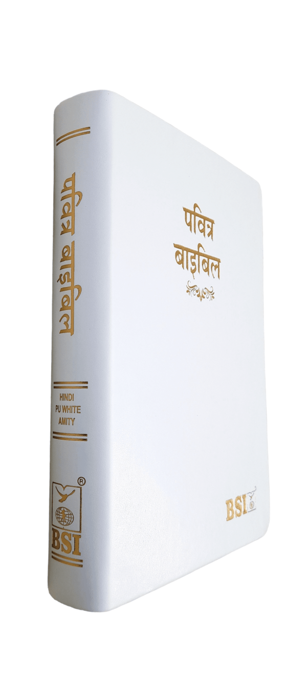 2023 PU Hindi – O.V. PU Series Amity Index Bible | Best Index Hindi Bible (Amity)