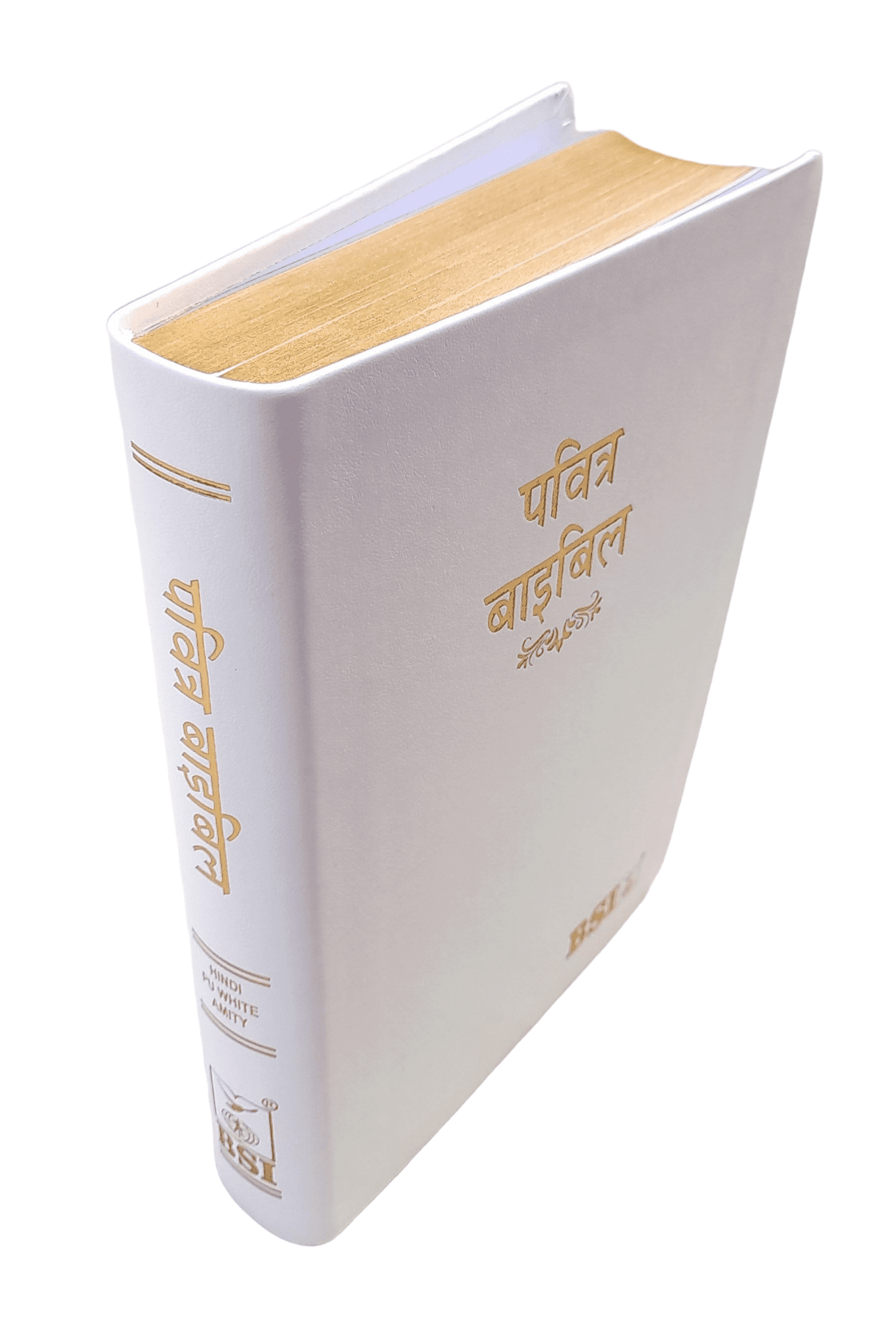 2023 PU Hindi – O.V. PU Series Amity Index Bible | Best Index Hindi Bible (Amity)