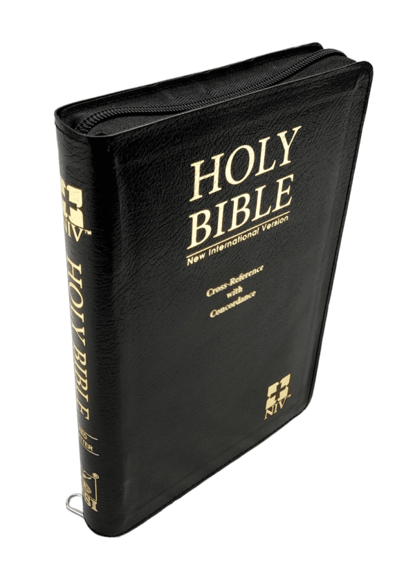 English Bible Niv Red LETTER