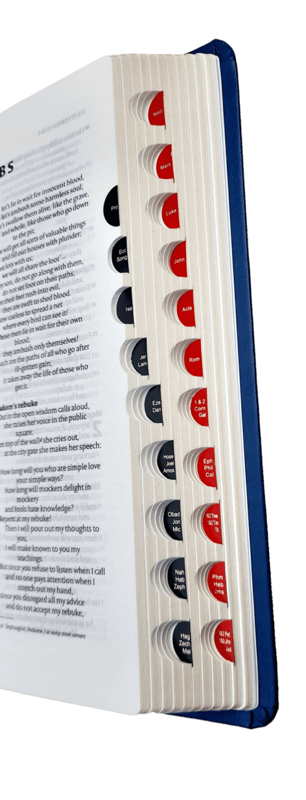 Holy NIV Bible Cross-Reference With Concordance Red Letter Edition ( NIV Bible Blue - AMITY