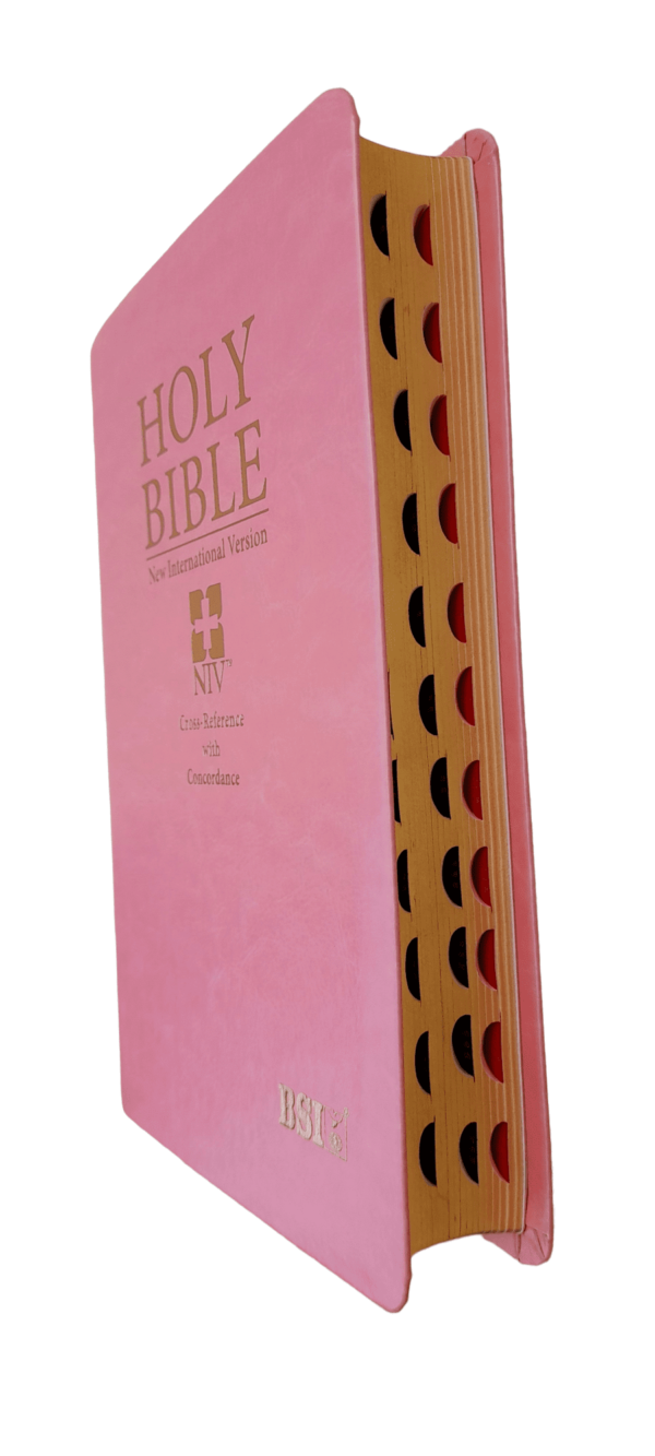 2023 Best NIV Bible