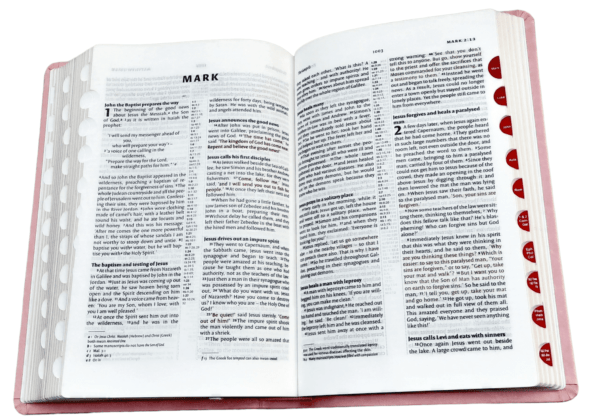 Holy NIV Bible Cross-Reference With Concordance Red Letter Bible