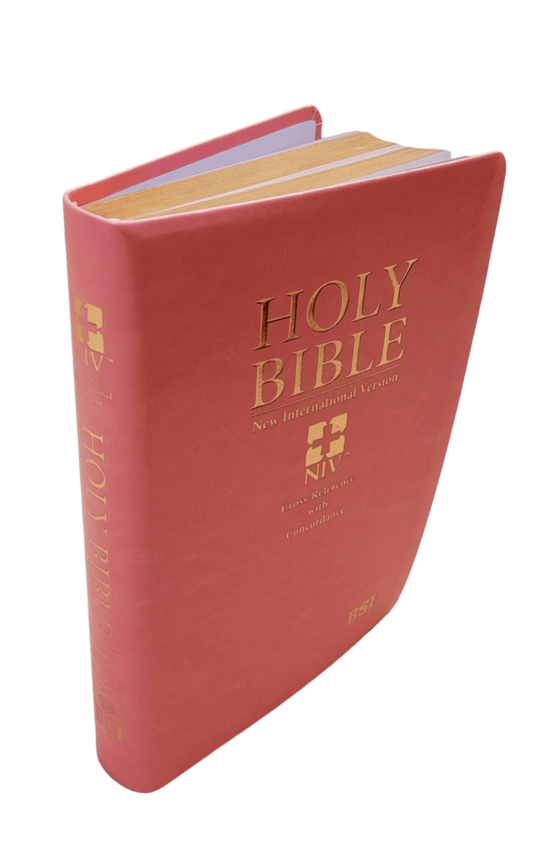 Holy NIV Bible Cross-Reference With Concordance Red Letter