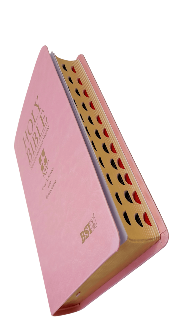 Holy NIV Bible Cross-Reference With Concordance Red Letter ( NIV Bible Pink - AMITY2023