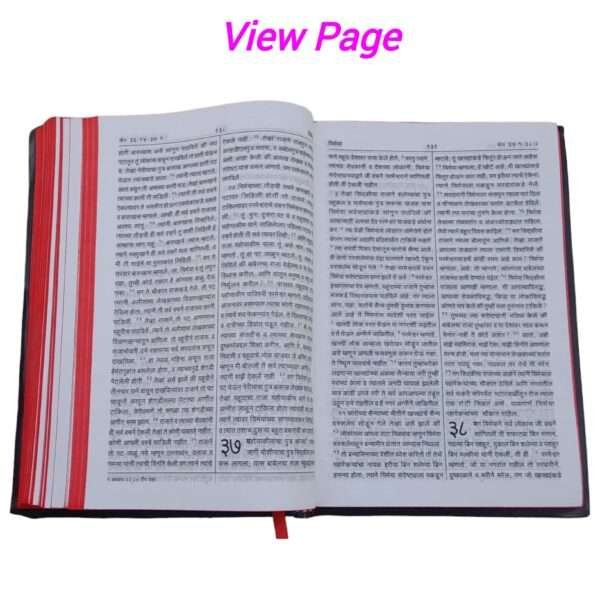 Marathi Bible