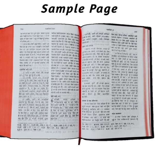Punjabi Bible