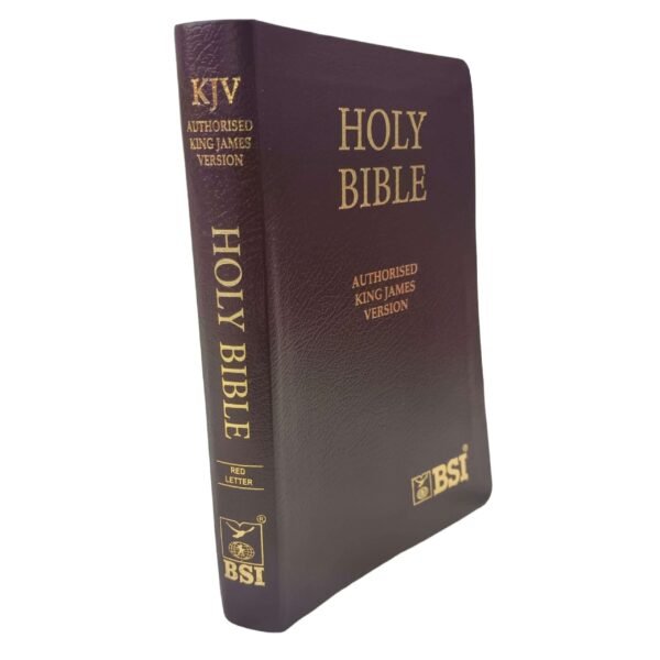 Brown Cover Bible