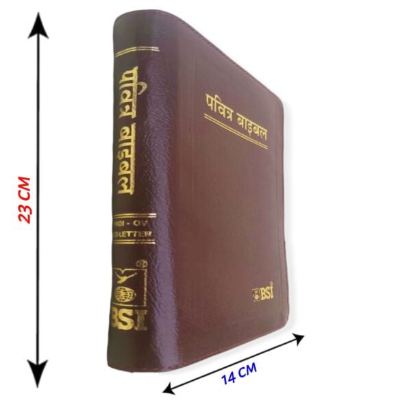 Red Letter Bible New Edition With Golden Key Chaine