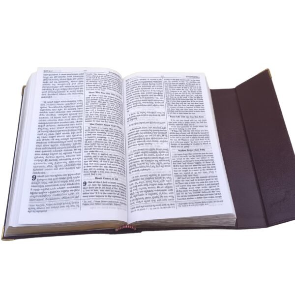 Diglot bible kanna da - English (2)