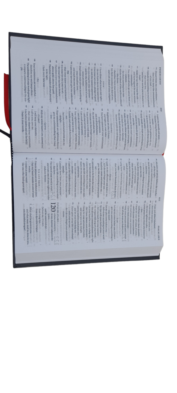 Esv New Edition Bible (10)