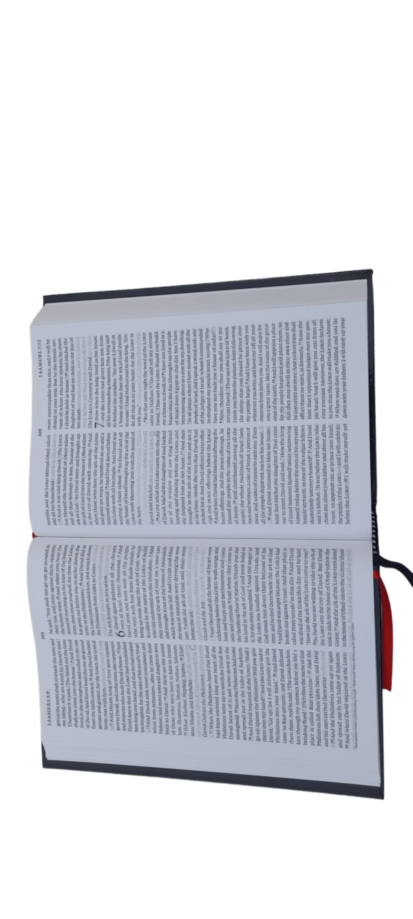 Esv New Edition Bible (11)