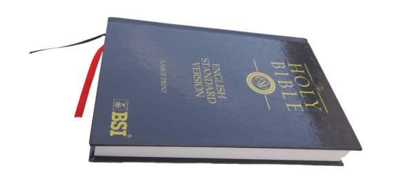 Esv New Edition Bible (14)