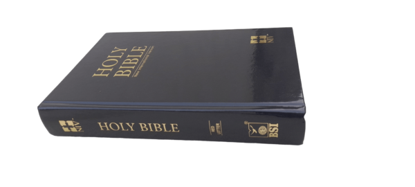 Niv New Edition Bible (1)