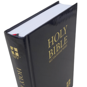 Niv New Edition Bible (3)