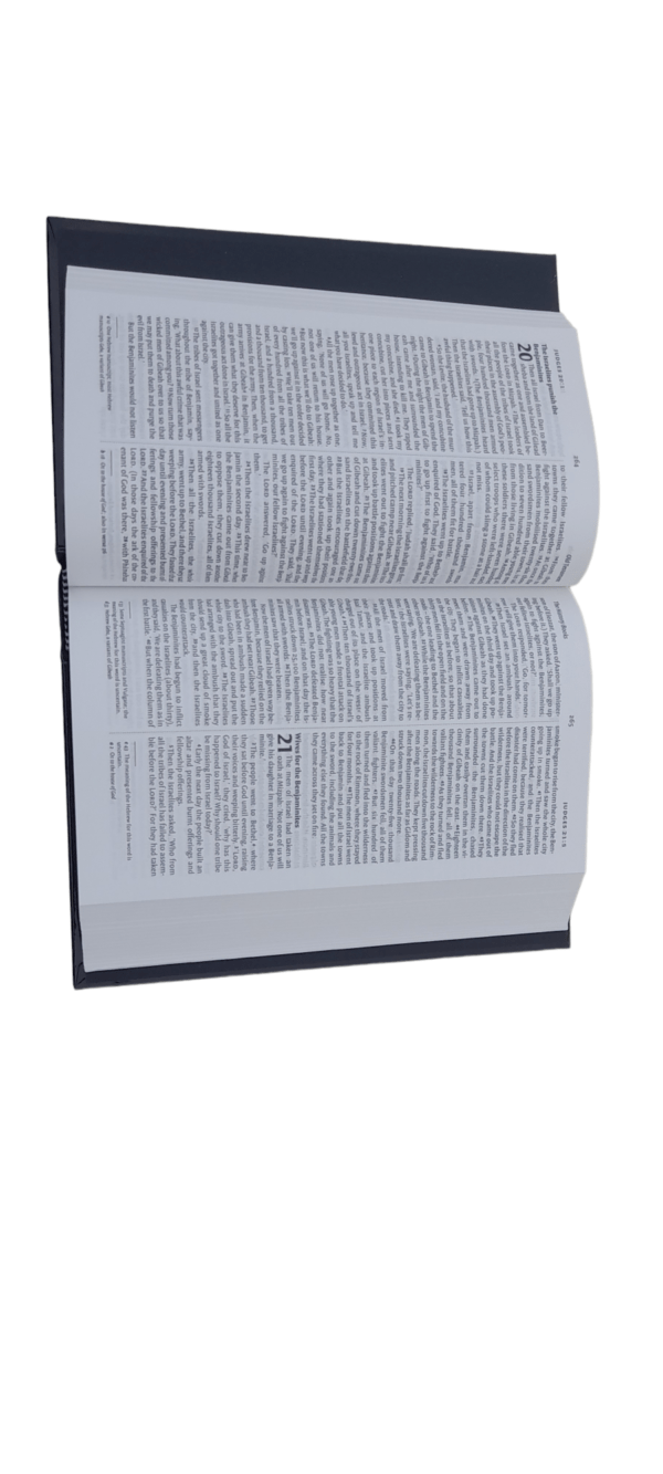 Niv New Edition Bible (7)