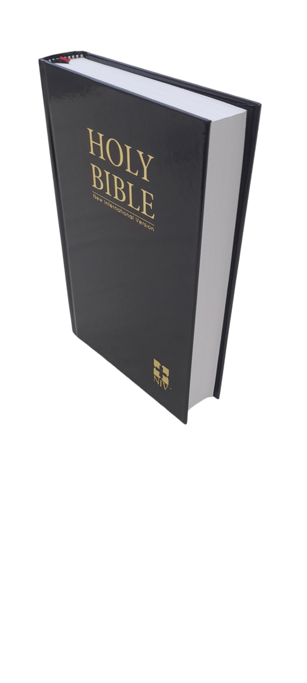 Niv New Edition Bible (9)