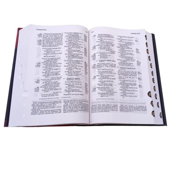The RYRIE Niv Study Bible With Index (6)