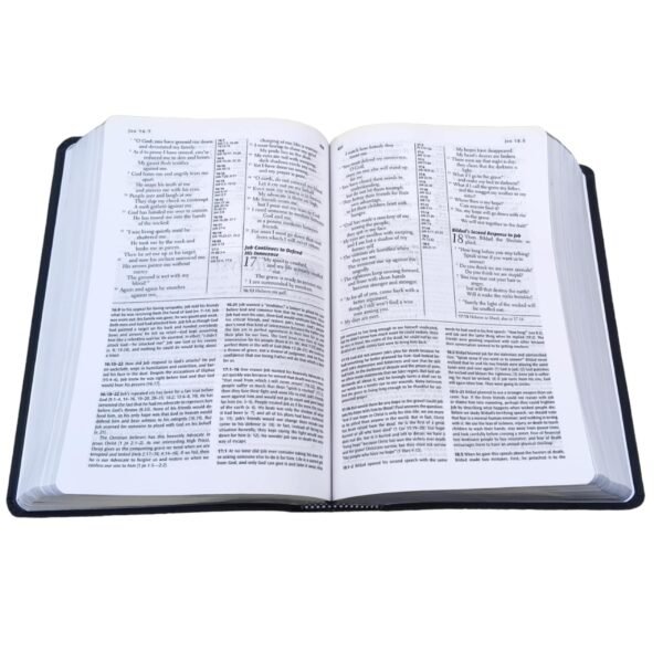 The Transformation Study Bible NLT Version (2)