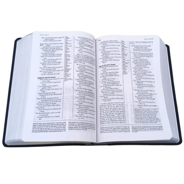 The Transformation Study Bible Nlt Version (3)