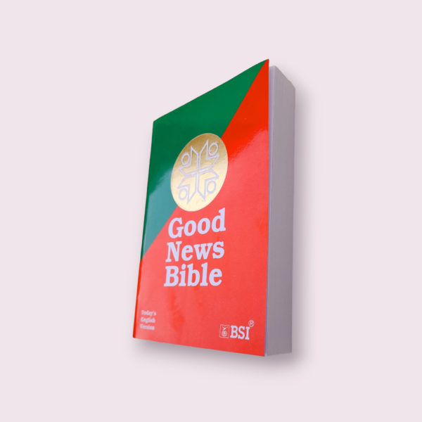 GOOD NEWS BIBLE PAPER BOUND 123 (8)
