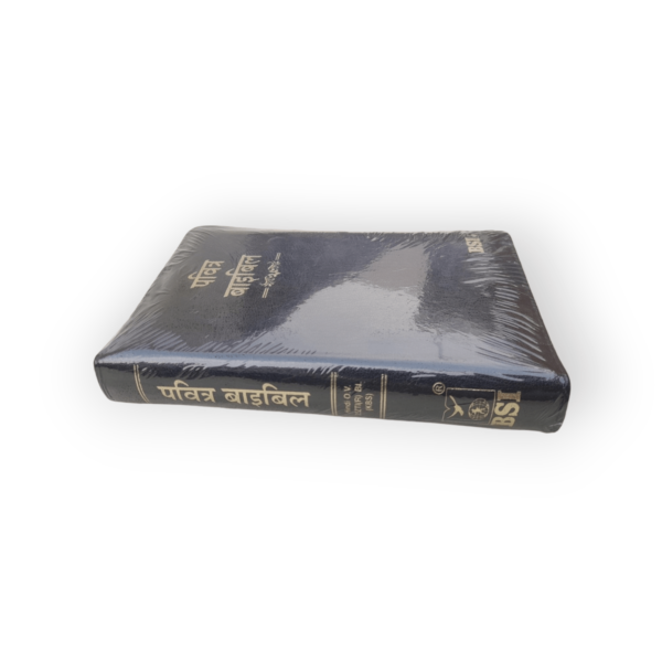 Hindi Bible With Thumb Index Korean Printed (2)