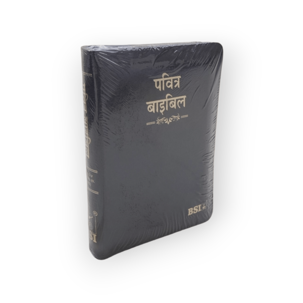 Hindi Bible With Thumb Index Korean Printed (4)