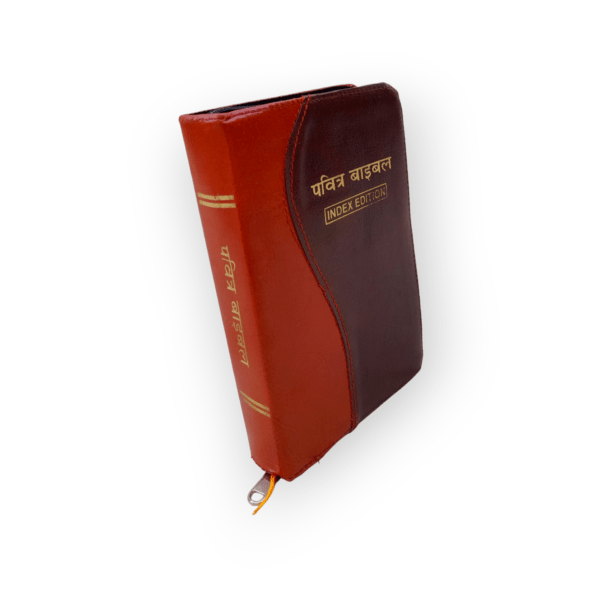 Small Hindi Bible (3)