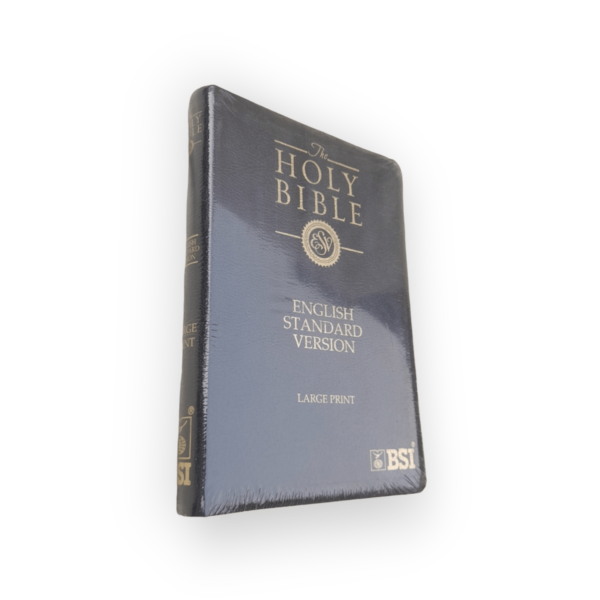 The Holy English Standard Version Bible Golden Edge Black Color Bound (3)