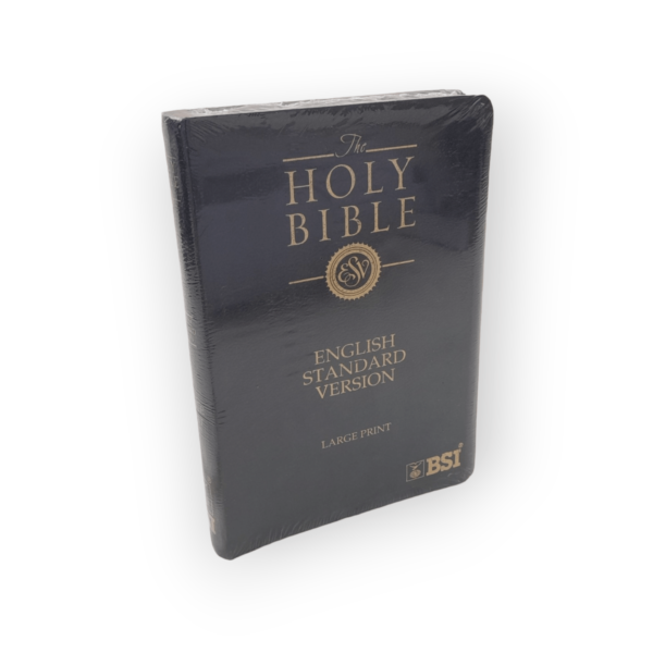 The Holy English Standard Version Bible Golden Edge Black Color Bound (4)