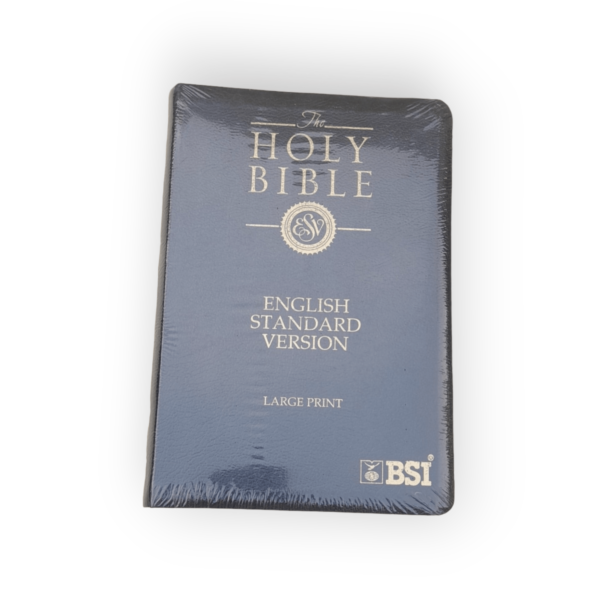 The Holy English Standard Version Bible Golden Edge Black Color Bound (6)