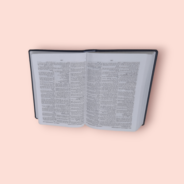 KJV Thompson Chain - Reference Bible New Edition Paper Bound0147