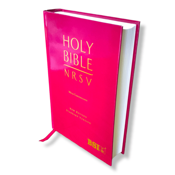 Nrsv Study Bible (13)