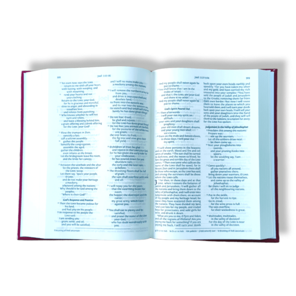 Nrsv Study Bible (14)