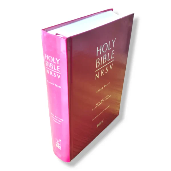 Nrsvstudybible 17