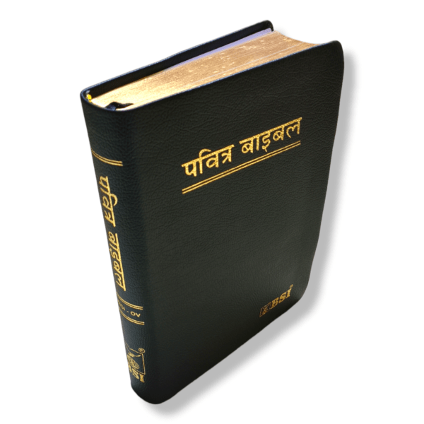Hindi Korean Printed Bible with Golden Edge