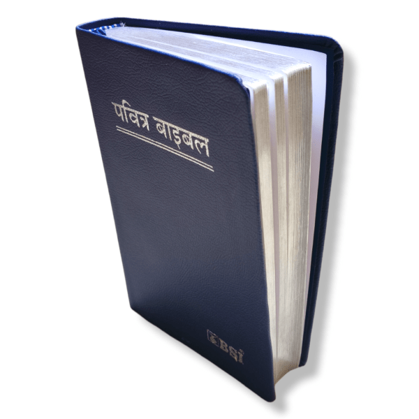 Hindi Korean Printed Bible with Silver Edge