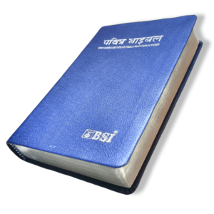 Hindi Korean Printed Bible with Silver Edge