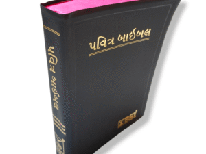 Holy Bible in Gujarati