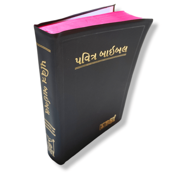 Holy Bible in Gujarati